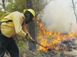 El incendio en el Bosque La Primavera, que afectó más de ocho mil hectáreas.  /