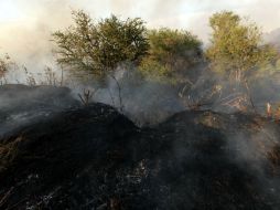 El incendio, trajo también otro tipo de costos, como la afectación a la salud, a la vida de brigadistas y población en general. ARCHIVO  /