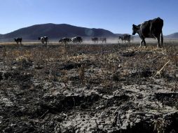 Se aumentarán los volúmenes de agua para satisfacer las necesidades básicas: Conagua. ARCHIVO  /