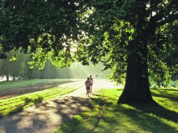 El gigantesco parque es el favorito de los londinenses para practicar deportes al aire libre y para realizar días de campo. ESPECIAL  /