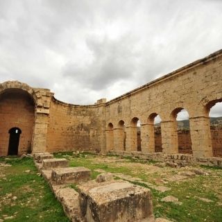 Descubren especie de 'mini mamut' que habitó en Creta