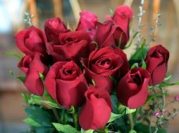 Las flores siguen siendo un regalo preferido para las mamás, aunque el mercado tiene muchas opciones más. ARCHIVO  /