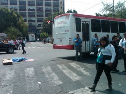 Un camión de la ruta 176, conducido por Luis Enrique Guzmán Zetina, de 31 años de edad, dio muerte a la mujer de la tercera edad.  /