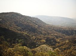 La expropiación fue sugerida luego del incendio ocurrido entre el 21 y el 26 de abril pasados, el más grave desde el siniestro de 2005.  /