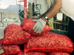 Los ambientalistas pidieron la prohibición a toda embarcación pesquera el uso de redes de arrastre. ARCHIVO  /