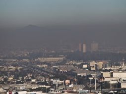 Una gran parte de este parque vehicular es conformada por los llamados autos ''chocolate''. ARCHIVO  /
