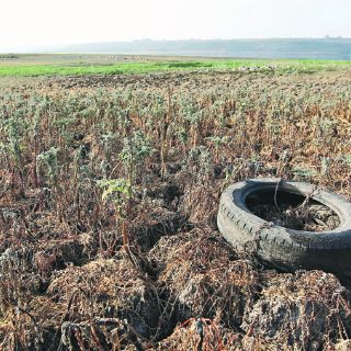 Padecen sequía y acuíferos sobreexplotados