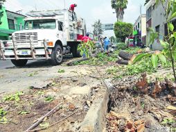 Un árbol cayó y derribó un poste que, a su vez, dañó la fachada de un predio en el cruce de República y Basilio Vadillo.  /