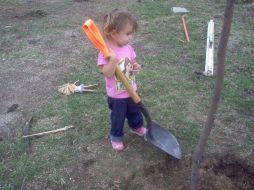 Uno de los principales objetivos de la plantación fue involucrar a los niños en el cuidado de las plantas.  /