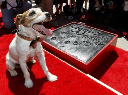 Uggie se une a una larga lista de celebridades que tienen sus huellas afuera del Teatro Chino de Hollywood. REUTERS  /
