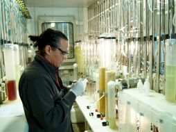 Un operario en una sala con columnas de biolixiviación en el laboratorio de BioSigma a las afueras de Santiago de Chile. EFE  /