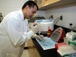 El software agiliza la ubicación de tumores cancerígenos por medio del rastreo exterior. ARCHIVO  /