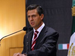 La composición del Congreso de la Unión será importante para determinar el éxito de la agenda legislativa de Peña Nieto. EFE  /