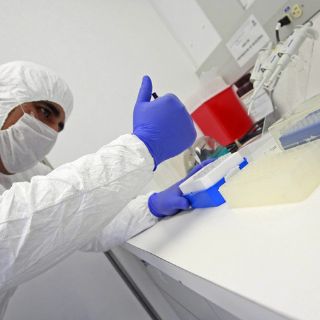 Garantizan el abasto de productos avícolas