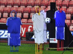 La FIFPro subrayó que las opiniones sobre la necesidad de aplicar la tecnología a la línea de gol han sido ''casi unánimes''. AFP  /