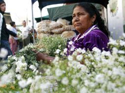 Las fotografías del texto nos permiten conocer otro aspecto de los wixáritari. ARCHIVO  /