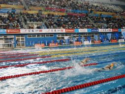 El torneo congrego a más de 900 deportistas en el Centro Acuático Scotiabank.  /