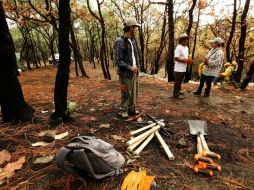 Tanto las autoridades como la ciudadanía han iniciado labores de resforestación en el bosque, previo al temporal de lluvias. ARCHIVO  /