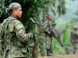 Miembros del sexto frente de la guerrilla de las Fuerzas Armadas Revolucionarias de Colombia (FARC). EFE  /