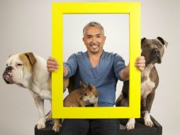 César Millán emprende una cruzada que tiene como objetivo garantizar adopciones exitosas. ESPECIAL  /