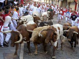 Los toros de la ganadería sevillana de Juan Pedro Domecq, a su llegada a la curva de Mercaderes. EFE  /