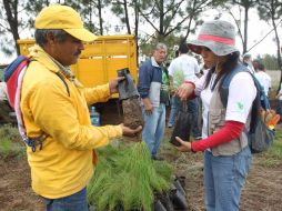 Tanto ciudadanos como autoridades del Estado han organizado brigadas de reforestación del Bosque. ARCHIVO  /