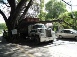 La falla de cálculo del conductor del camión de cargo fue la causa del accidente.  /