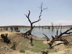 La Conagua anunció que los trabajos de encauzamiento del río Nazas presentan un 16% de avance. ARCHIVO  /