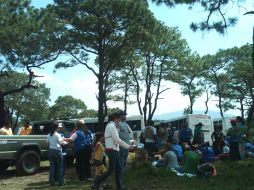 Hasta agosto se estará reforestando el área afectada por el incendio del pasado abril.  /