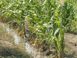 En un predio de 6.2 hectáreas frente a la Expo Ganadera, se constituyó el Fideicomiso que le dará vida al proyecto. ARCHIVO  /