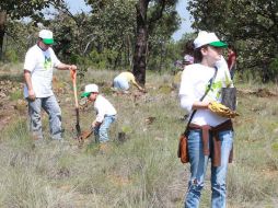 En el Estado se realizan labores de reforestación, protección y mantenimiento de áreas verdes. ARCHIVO  /