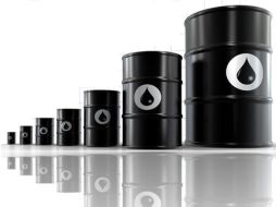 La Organización de Países Exportadores de Petróleo podría sostener una reunión si los precios del crudo siguen a la baja. ESPECIAL  /