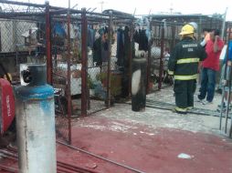 Ocurrió en  la colonia Jardines del Rosario en la calle Río Independencia, los tanques se encontraban en la azotea de un edificio.  /