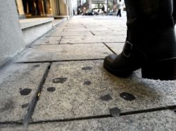 La muestra fotográfica denuncia los problemas que ocasiona el que losmchicles sean arrojados en la vía pública. ESPECIAL  /