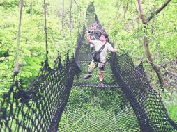 Vértigo. Puente colgante a 50 metros de altura, en el circuito de tirolesas.  /