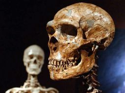 Los restos redondeados, encontrados a mayor profundidad, son distintos a los encontrados en años anteriores. ESPECIAL  /