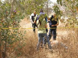 Se presume que las mujeres fueron llevadas a una carretera por un grupo de hombres que les dispararon en el cráneo. ARCHIVO  /