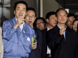 Los pepinos son usados por los japoneses como acompañamiento en las comidas. ARCHIVO  /