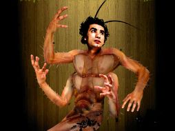 En su desarrollo 'Metamorfósis' cuestiona al ser humano y las consecuencias de la falta de comprensión y comunicación. ESPECIAL  /