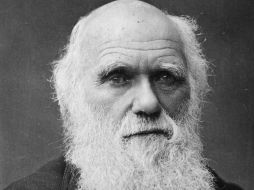 Las teorías evolucionistas de Charles Darwin, expuestas en nuevo museo alemán. ARCHIVO  /