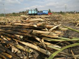 En el caso de El Salvador, se logró un acceso de un 8.0 por ciento de la cuota de azúcar que México fija cada año. ARCHIVO  /