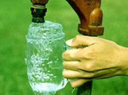 A pesar de sus distintos significados frecuentemente son usados como sinónimos. ESPECIAL  /