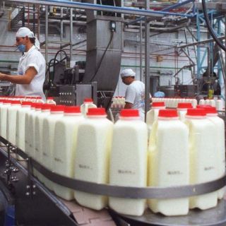 Arranca el fondo para estabilizar precio de la leche