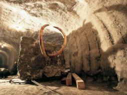 Las células del Mamut se encuentran en buen estado. ESPECIAL  /