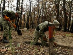 El incendio forestal del pasado 21 de abril, en el bosque La Primavera, fueron afectadas ocho mil 117 hectáreas. ARCHIVO  /