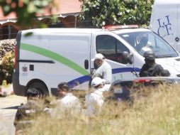 Fueron encontradas 17 personas ejecutadas entre los límites de Jalisco y Michoacán de Ocampo.  /