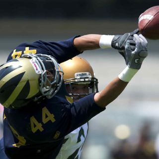 Pumas y Águilas Blancas buscan seguir invictos