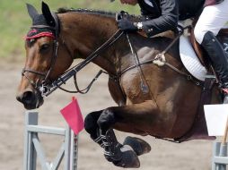 el negocio central se centra en caballos de alta competencia. ARCHIVO  /