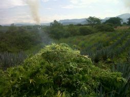 Hasta el momento ha habido personas detenidas.  /