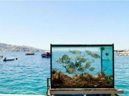 El Protocolo de Nagoya es complementario al de Cartagena sobre Seguridad de la Biotecnología, adoptado en 2000. ESPECIAL  /